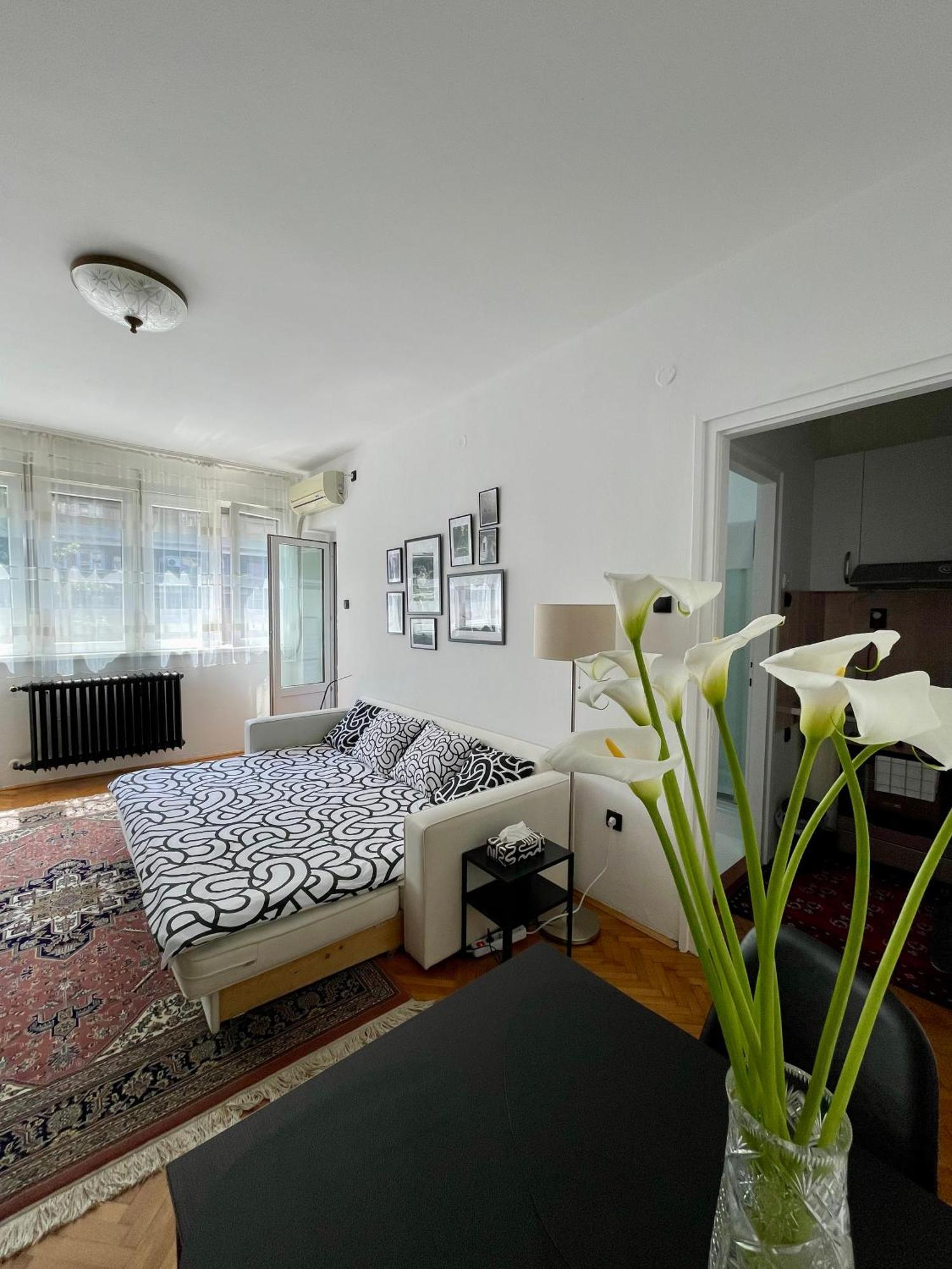 Apartment Mirochka Белград Екстериор снимка